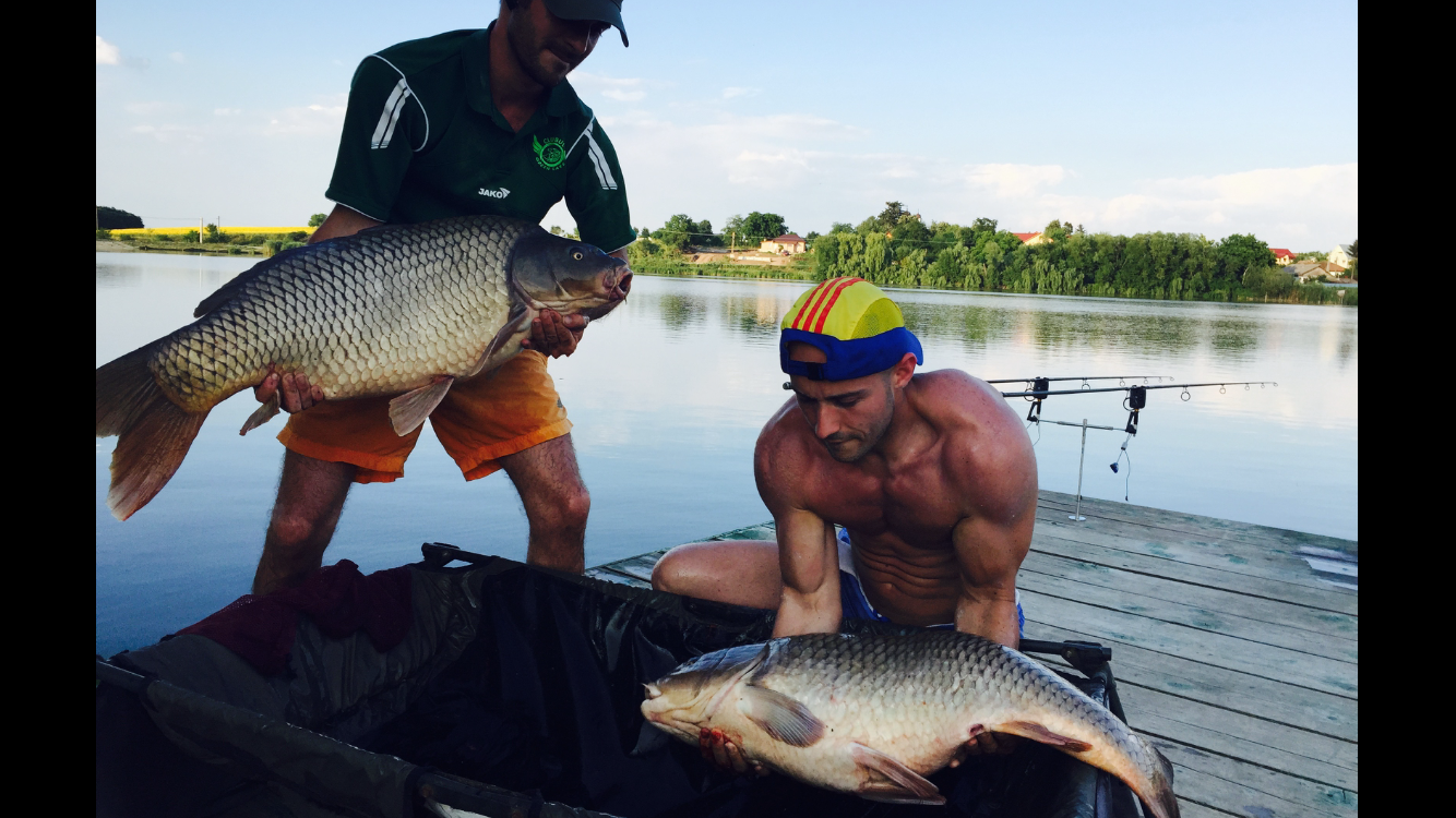 Moara Vlasiei 2 \ 1 - 2 iulie 2015 - img1836.PNG